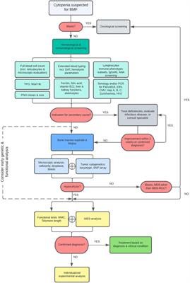 Diagnostic Value of a Protocolized In-Depth Evaluation of Pediatric Bone Marrow Failure: A Multi-Center Prospective Cohort Study